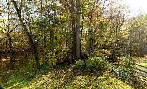 12300 Lyndway Dr, Valley View, OH 44125 photo 32