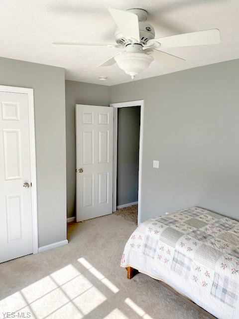 3982 Randolph Dr, Lorain, OH 44053 photo 24