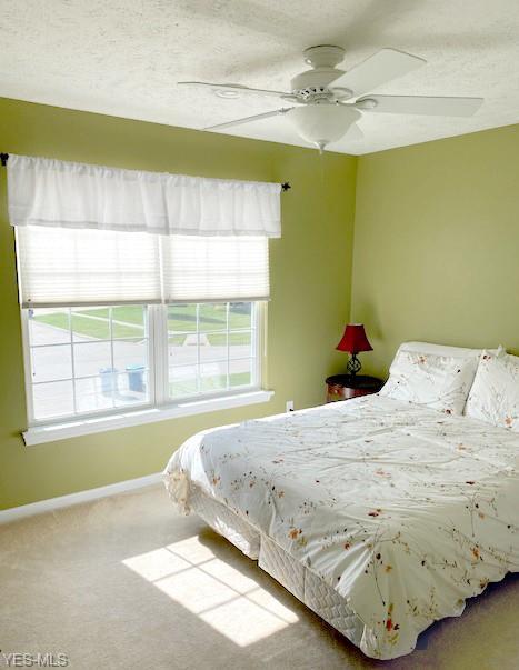 3982 Randolph Dr, Lorain, OH 44053 photo 25