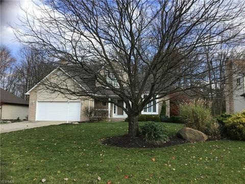 7719 Crimson Trl, Boardman, OH 44512 photo 3
