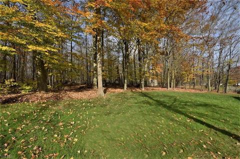 36032 Derby Downs Dr, Solon, OH 44139 photo 34