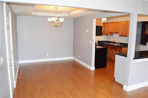 6115 Pineview Dr, Madison, OH 44057 photo 4