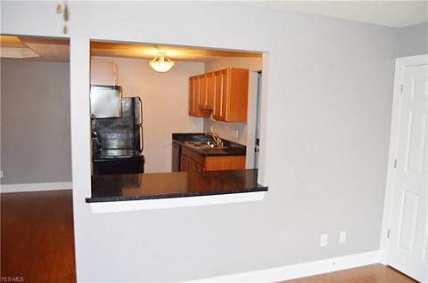 6115 Pineview Dr, Madison, OH 44057 photo 5