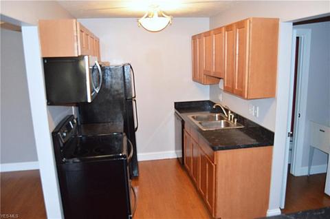 6115 Pineview Dr, Madison, OH 44057 photo 7