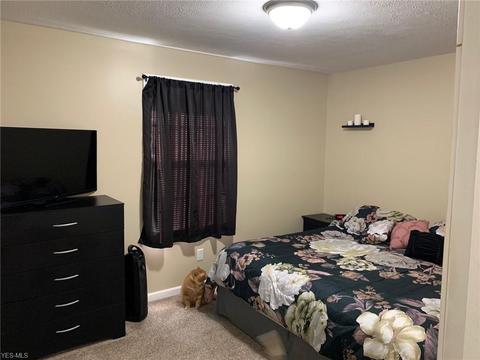 12745 St Rt 550, Fleming, OH 45729 photo 17
