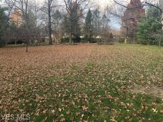 314 Carol Ln, Elyria, OH 44035 photo 5