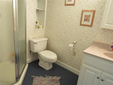 243 Maple St, Newton Falls, OH 44444 photo 23