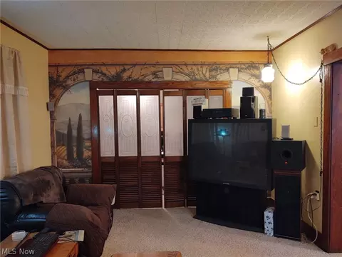 72 Rosa St, Kipton, OH 44049 photo 15
