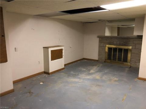3911 Arden Blvd, Youngstown, OH 44511 photo 22