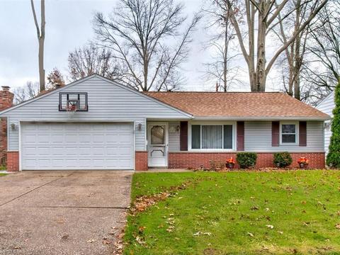 443 University Ave, Elyria, OH 44035 photo 2