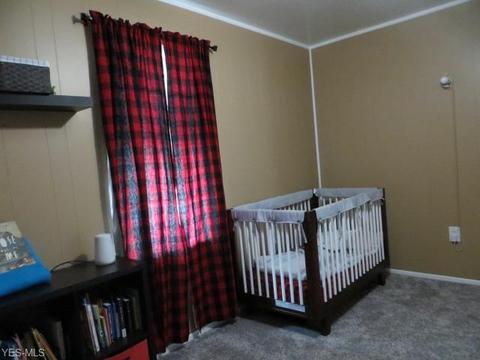 4207 Maplecrest Ave, Parma, OH 44134 photo 19