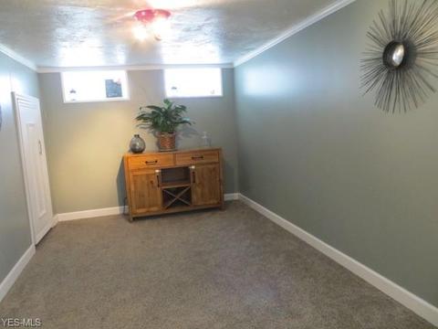 4207 Maplecrest Ave, Parma, OH 44134 photo 22