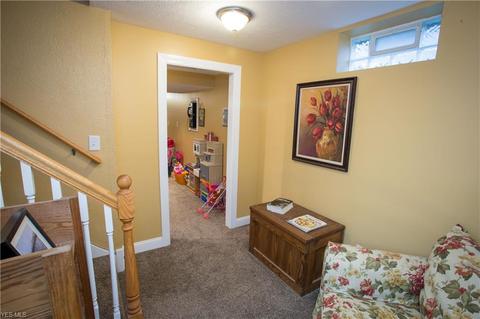 249 Rauscher Ct, Elyria, OH 44035 photo 20
