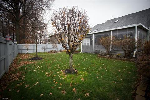 249 Rauscher Ct, Elyria, OH 44035 photo 30