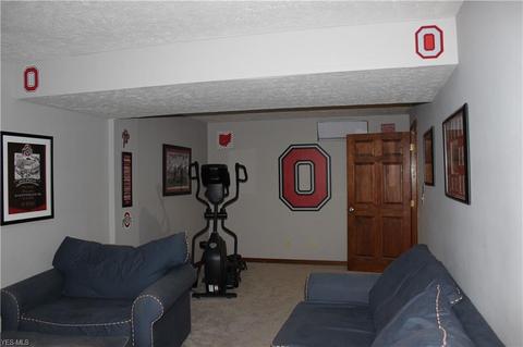 12881 Diagonal Rd, Lagrange, OH 44050 photo 27