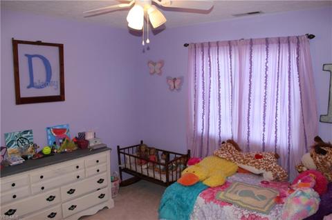 12881 Diagonal Rd, Lagrange, OH 44050 photo 19