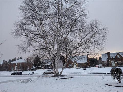 146 Poplar Ave NW, Canton, OH 44708 photo 29
