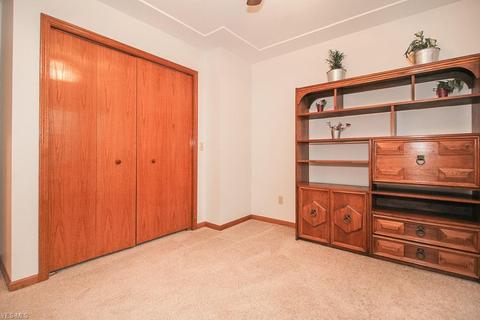 14878 Diagonal Rd, Lagrange, OH 44050 photo 21