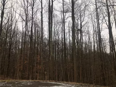 Golfview Drive Ne, New Philadelphia, OH 44663