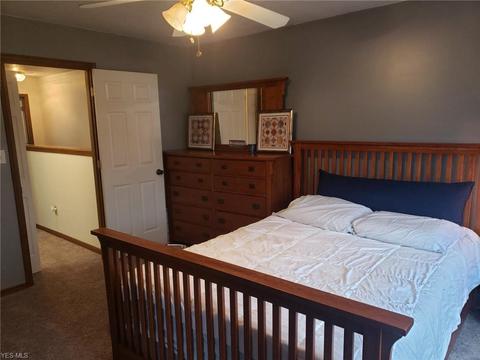 132 Teal St, Elyria, OH 44035 photo 20