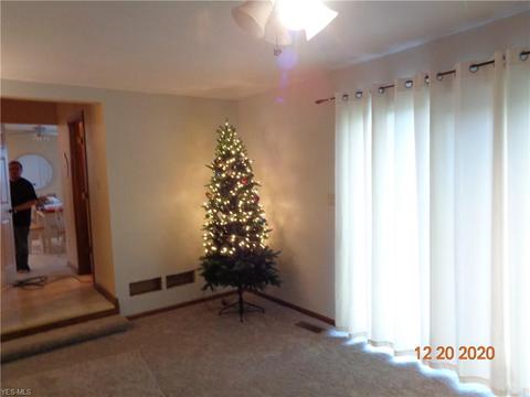 132 Teal St, Elyria, OH 44035 photo 7