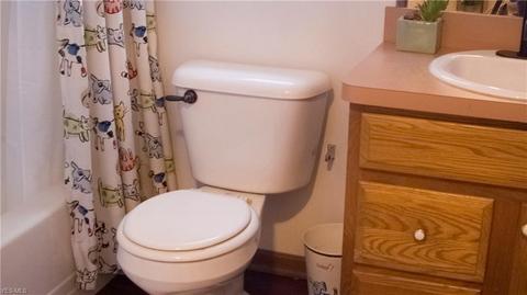 132 Teal St, Elyria, OH 44035 photo 23