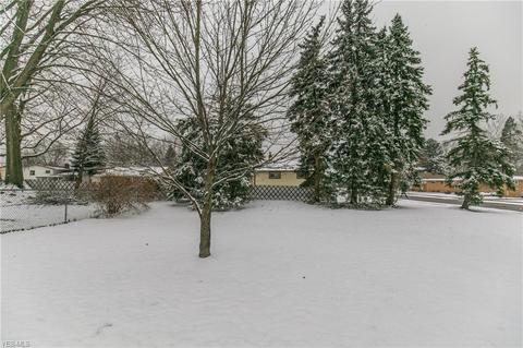 7218 Ames Rd, Parma, OH 44129 photo 30