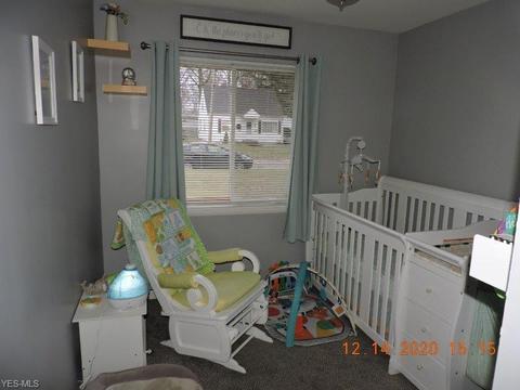 1015 Union Ave, Ashtabula, OH 44004 photo 11