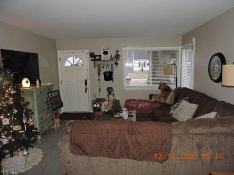 1015 Union Ave, Ashtabula, OH 44004 photo 8