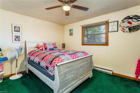 42140 Meadow Ln, Lagrange, OH 44050 photo 4
