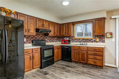 42140 Meadow Ln, Lagrange, OH 44050 photo 9