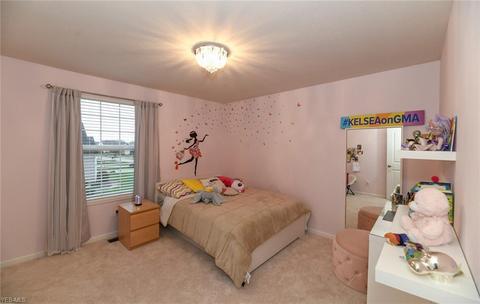 705 Joseph Dr, Aurora, OH 44202 photo 24