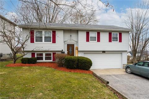 487 Brandon Ave, Struthers, OH 44471 photo 16