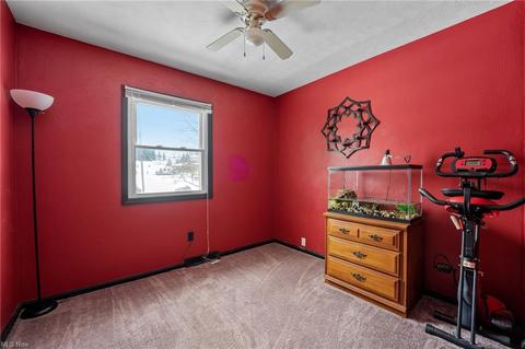 487 Brandon Ave, Struthers, OH 44471 photo 13