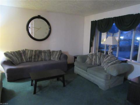 6174 Maplewood Rd, Mentor, OH 44060 photo 15