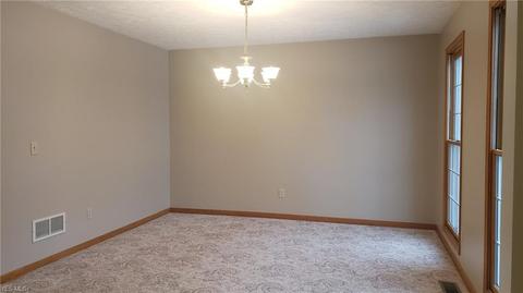 7795 Buffham Rd, Lodi, OH 44254 photo 9