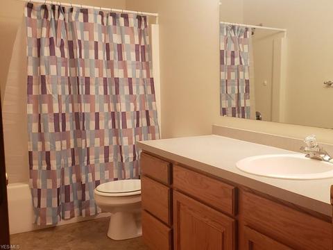 7795 Buffham Rd, Lodi, OH 44254 photo 11