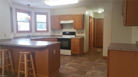 7795 Buffham Rd, Lodi, OH 44254 photo 7
