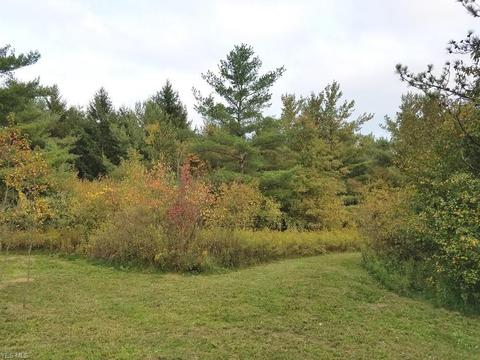 7795 Buffham Rd, Lodi, OH 44254 photo 21