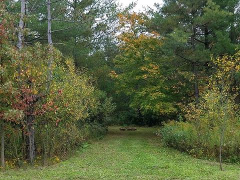 7795 Buffham Rd, Lodi, OH 44254 photo 20