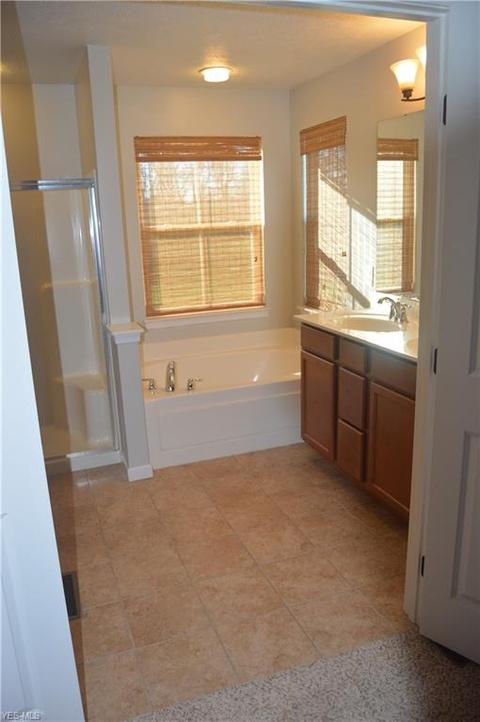 171 Highgate Dr, Wadsworth, OH 44281 photo 17