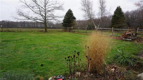 3741 Sanford Rd, Rootstown, OH 44272 photo 22