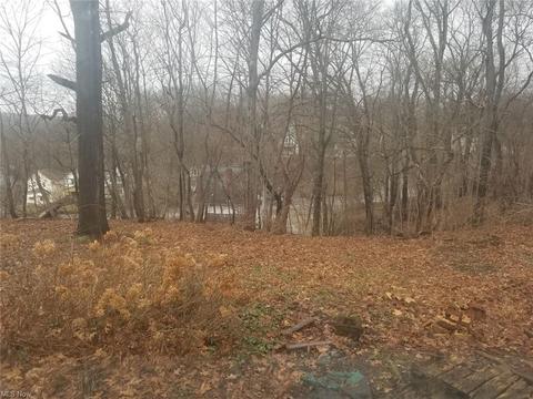 113 Vesper St, Akron, OH 44310 photo 20