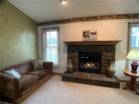 9629 Nichols Rd, Freedom, OH 44288 photo 14