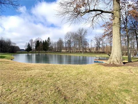 9629 Nichols Rd, Freedom, OH 44288 photo 8