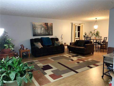 5056 Spalding Ct, Lorain, OH 44053 photo 5