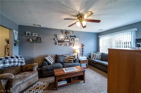 9893 Short Dr, Windham, OH 44288 photo 19