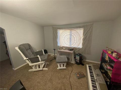 1601 Mapledale Rd, Wickliffe, OH 44092 photo 20