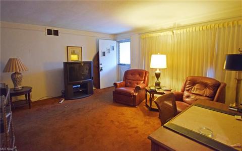 270 E 242nd St, Euclid, OH 44123 photo 3