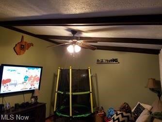 1009 Ghost Hollow Rd, Given, WV 25245 photo 24